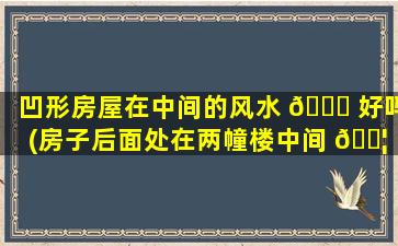 凹形房屋在中间的风水 🐈 好吗(房子后面处在两幢楼中间 🐦 )